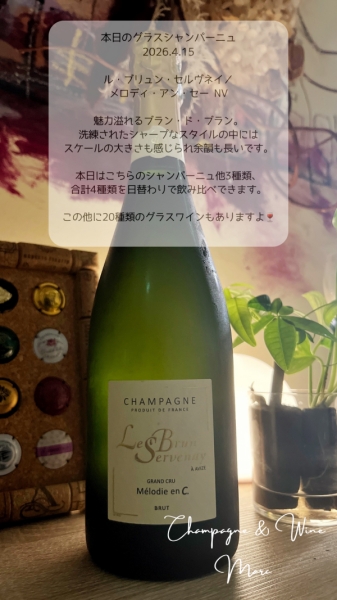 ル・ブリュン・セルヴネイ/メロディ・アン・セー NV