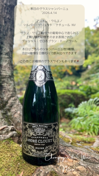 アンドレ・クルエ/シルバー・ブリュット・ナチュール NV